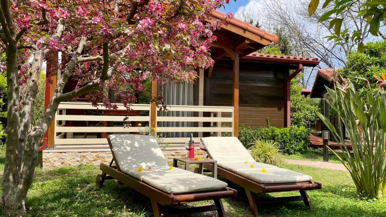 Aida Hotel Чирали Экстерьер фото