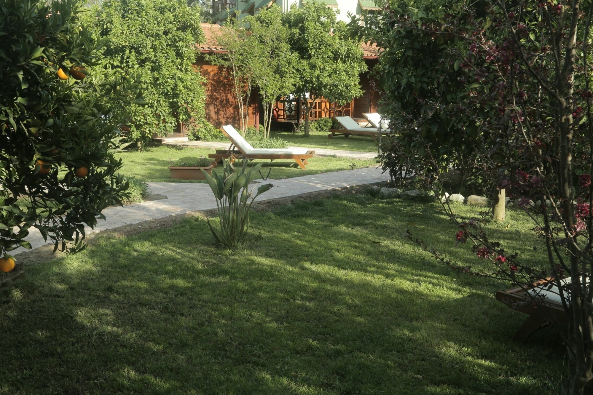 Aida Hotel Чирали Экстерьер фото